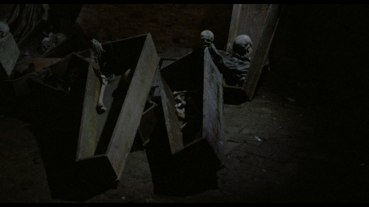 Nosferatu in Venedig 1.Auflage UNCUT (DVD)