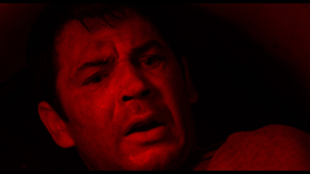 DER HORROR-ALLIGATOR - TV Langfassung (Blu-ray)