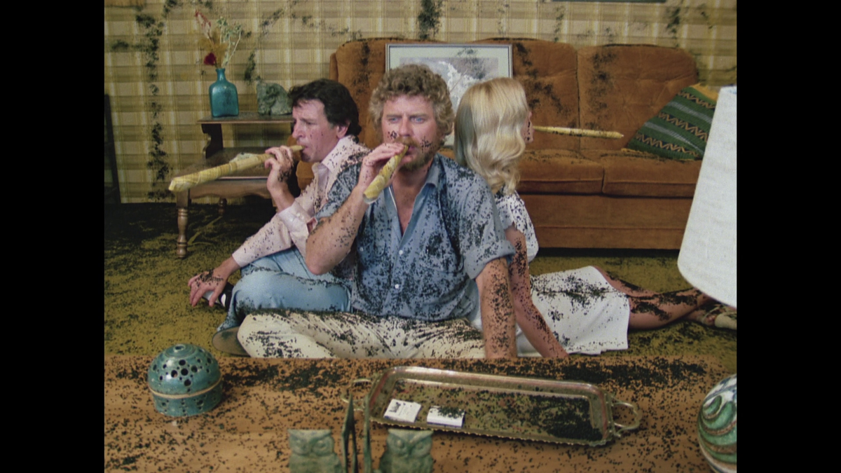 Ants - Die Rache der Schwarzen Königin UNCUT (DVD)