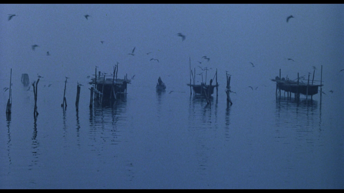 Nosferatu in Venedig 1.Auflage  UNCUT (DVD)