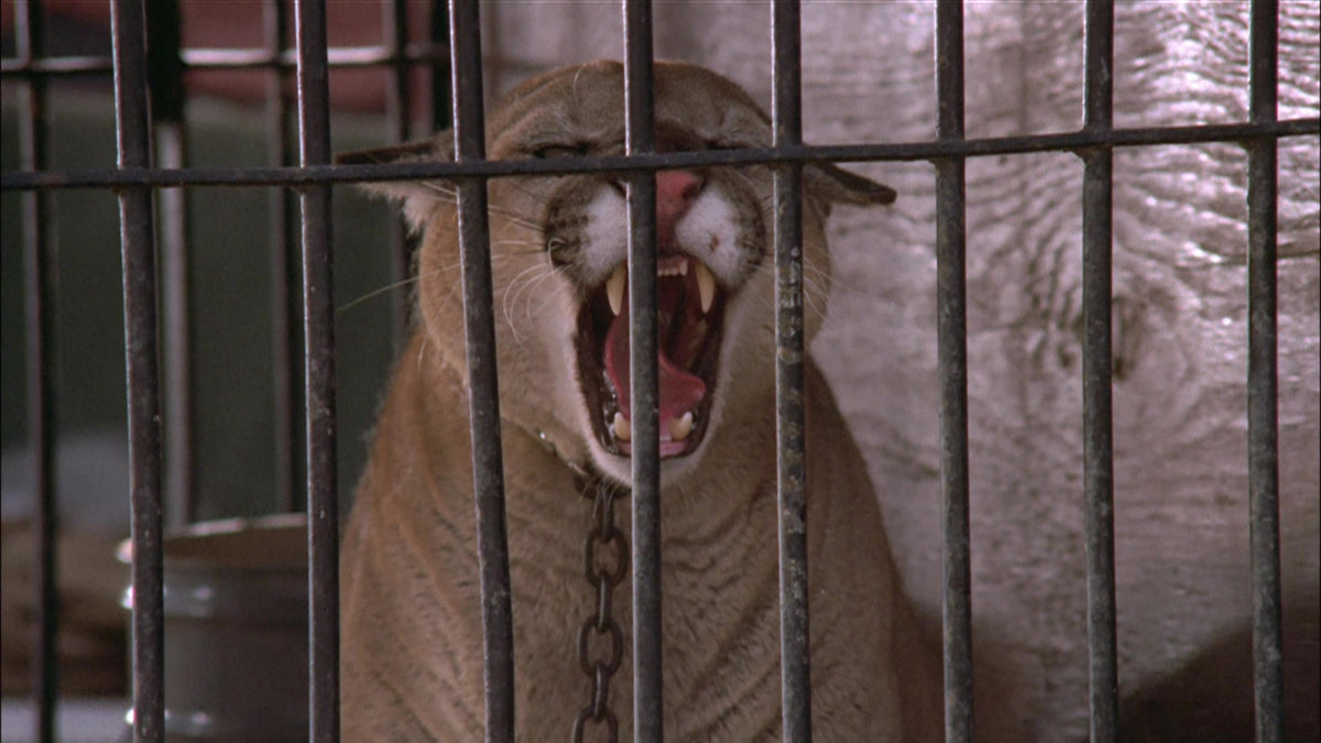 CAGED WOMAN 2 -GEPEINIGT UND GEQUÄLT UNCUT (Blu-ray)